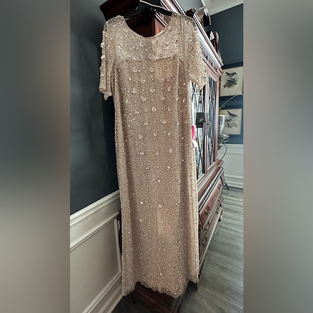NWT Formal gown. Size 22W. Bought too big and didn’t return in time.